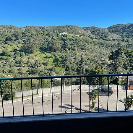 Views *